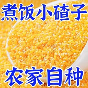 小碴子正宗玉米糁玉米碴子粥农家现磨超细粗粮秋冬进补玉米糁