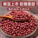 红豆东北红小豆农家自种红小豆 足斤足重2025新红小豆正宗当季