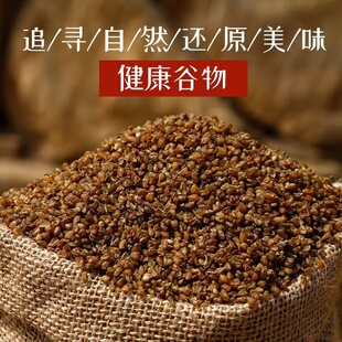 大凉山真空黑苦荞米新米苦荞麦熬粥煮饭泡茶免洗低脂健康五谷优质