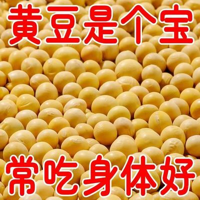 黑龙江新豆高蛋白非转基因黄豆