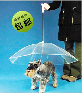 包邮宠物外出时尚透明雨伞泰迪小型犬小清新狗狗手动雨天遛狗绳