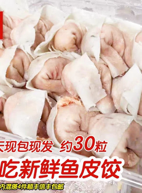 潮汕特产鱼皮饺子广东水饺汤饺新鲜肉饺鱼皮饺海底捞火锅食材500g