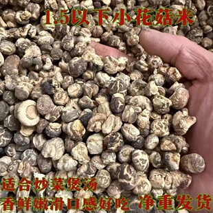泌阳小花菇米干货500g包邮手选冬磨菇泌阳香菇土特小花菇米菇宝宝