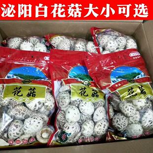 泌阳大小可选白花菇干货剪脚农家土特产冬菇蘑菇花菇煲汤产地直发