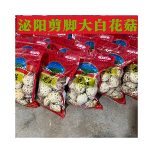 河南泌阳大白花菇干货剪脚5-12公分大小可选送礼佳品冬菇自销花菇