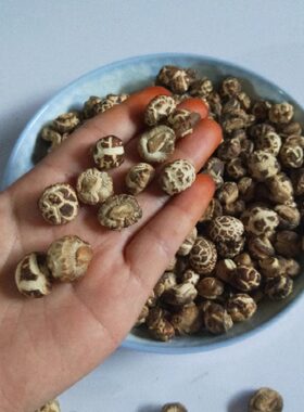 新品上架特小花菇特级小珍珠500g