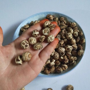 新货小花菇新品上架 特小花菇剪脚小香菇干货野生小珍珠菇500g包