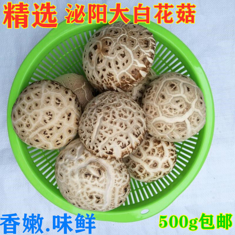 今年花菇新货农家 干货大花菇剪脚干货香菇冬菇500g包邮 泌阳花菇