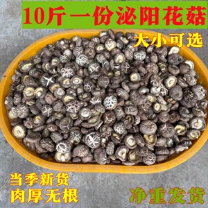 泌阳花菇剪脚干货农家土特产冬菇