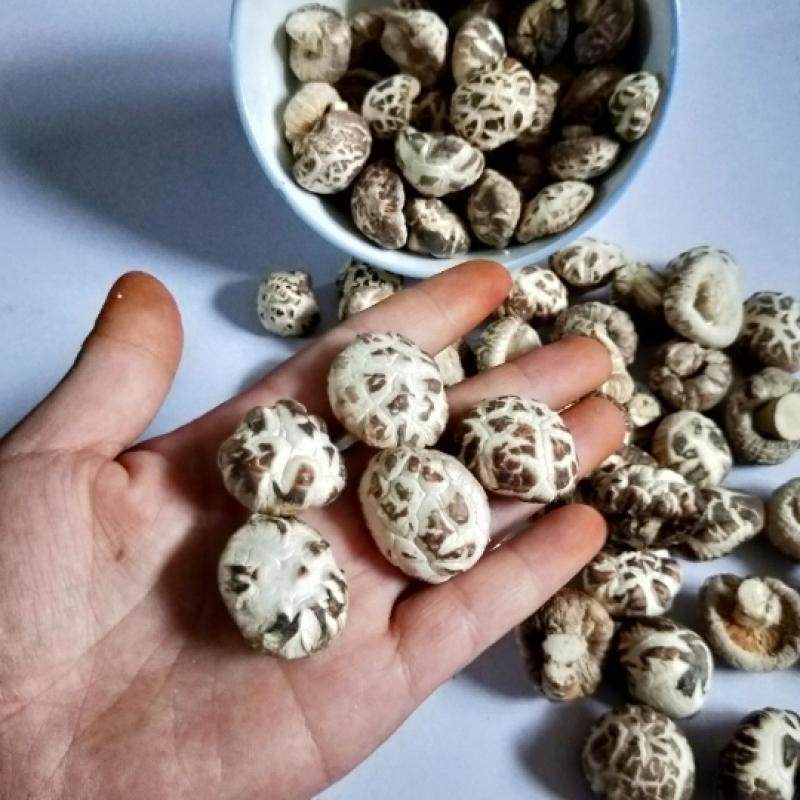 小白花菇1斤包邮新货农家干货剪脚小香菇野生 小花菇500g蘑菇