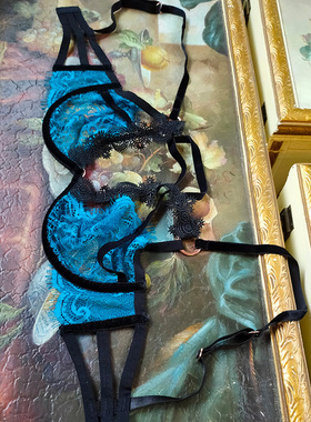 包邮艾塔丽丝欧美新品女士蕾丝性感超薄大文胸100CD105DE110CD