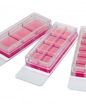 ibidi 8孔 可移除插件培养载玻片 粘附载玻片 可拆载玻片 载玻片