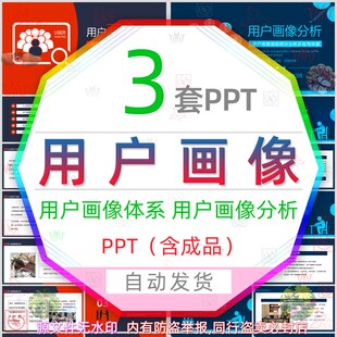 公司用户画像体系分析PPT模板企业用户顾客消费者维度数据分析wps