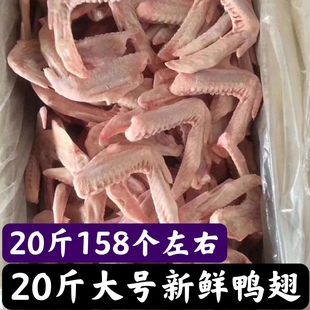 新鲜冷冻食材鸭翅 二节翅 鸭翅膀 20斤160个左右卤菜食材5-20斤