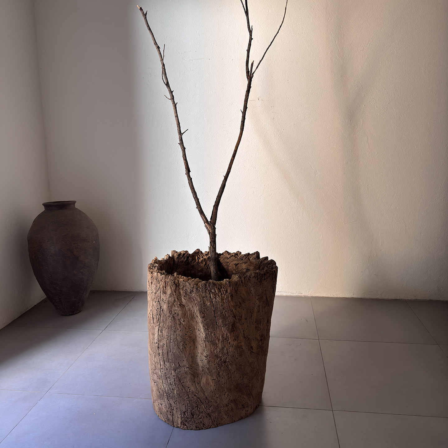 风化木干花插花桶枯木桶艺术空间美学角落摆件朽木261111