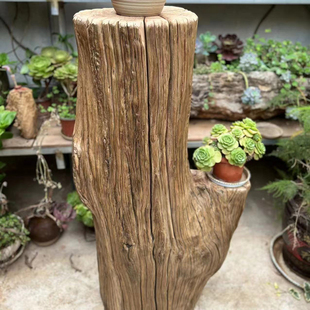 风化木铁栎木花架置物架老木头朽木枯木摆件柱子侘寂风装饰大柱子
