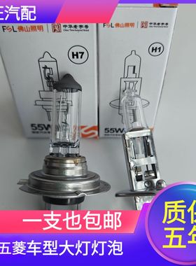 适用五菱730凯捷龙卡电卡星驰EV50佳辰EV80大灯近光灯远光前雾灯