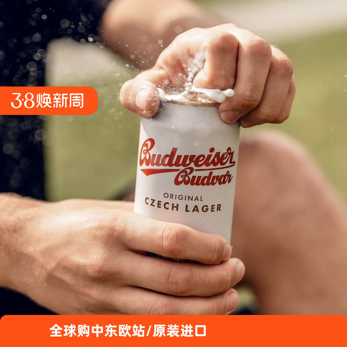 原装进口捷克啤酒百得福Budvar皮尔森罐装整箱拉格啤酒500ml*12听