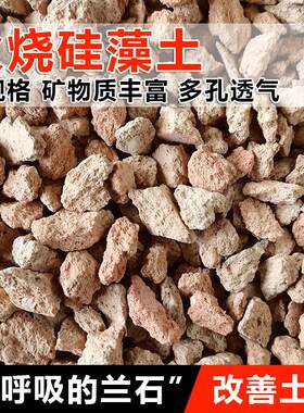 烧仙石硅藻土多孔透气