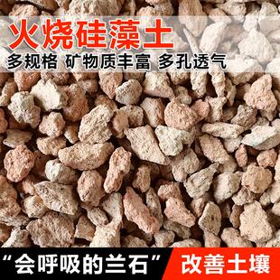 正品 火烧硅藻土多孔结构多肉兰花盆栽颗粒土矿物质保水疏松透气