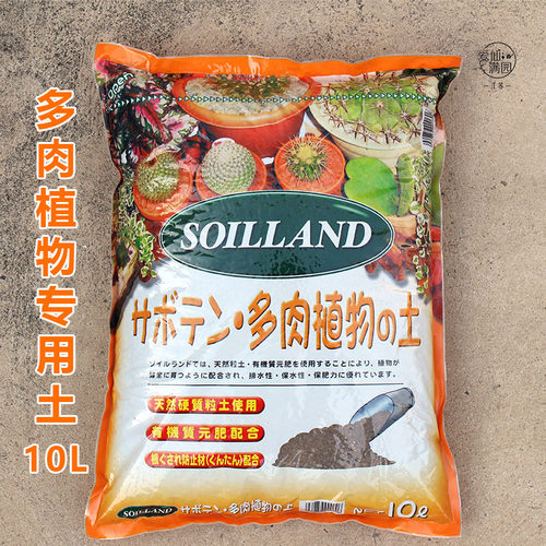 日本多肉植物直接使用基质