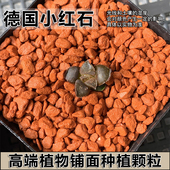 德国小红石丹彩霞高端植物通用土种植铺面热植兰花盆栽造景颗粒土