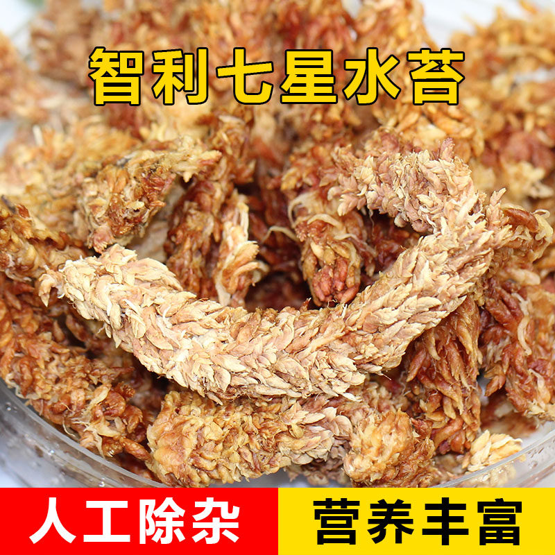 进口精选七星智利水苔毛毛虫干苔藓兰花蝴蝶兰多肉食虫石斛微景观