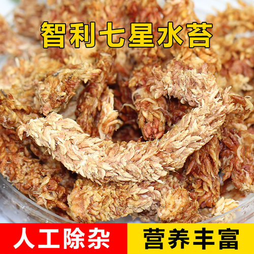 进口七星级智利水苔食虫微景观