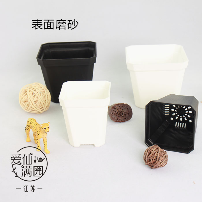 新料超厚加厚多肉黑白使用寿命长