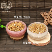 日本进口桐生砂分包装 桐生沙颗粒可选500克约0.7L已过筛