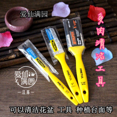 好用 实用 多肉清洁需备！