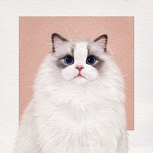 芳宠物头像定制纪念卡通电子图猫咪狗狗画像设计写实似颜手绘特惠