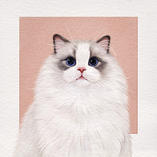 手绘宠物画像专属萌宠猫咪狗纪念