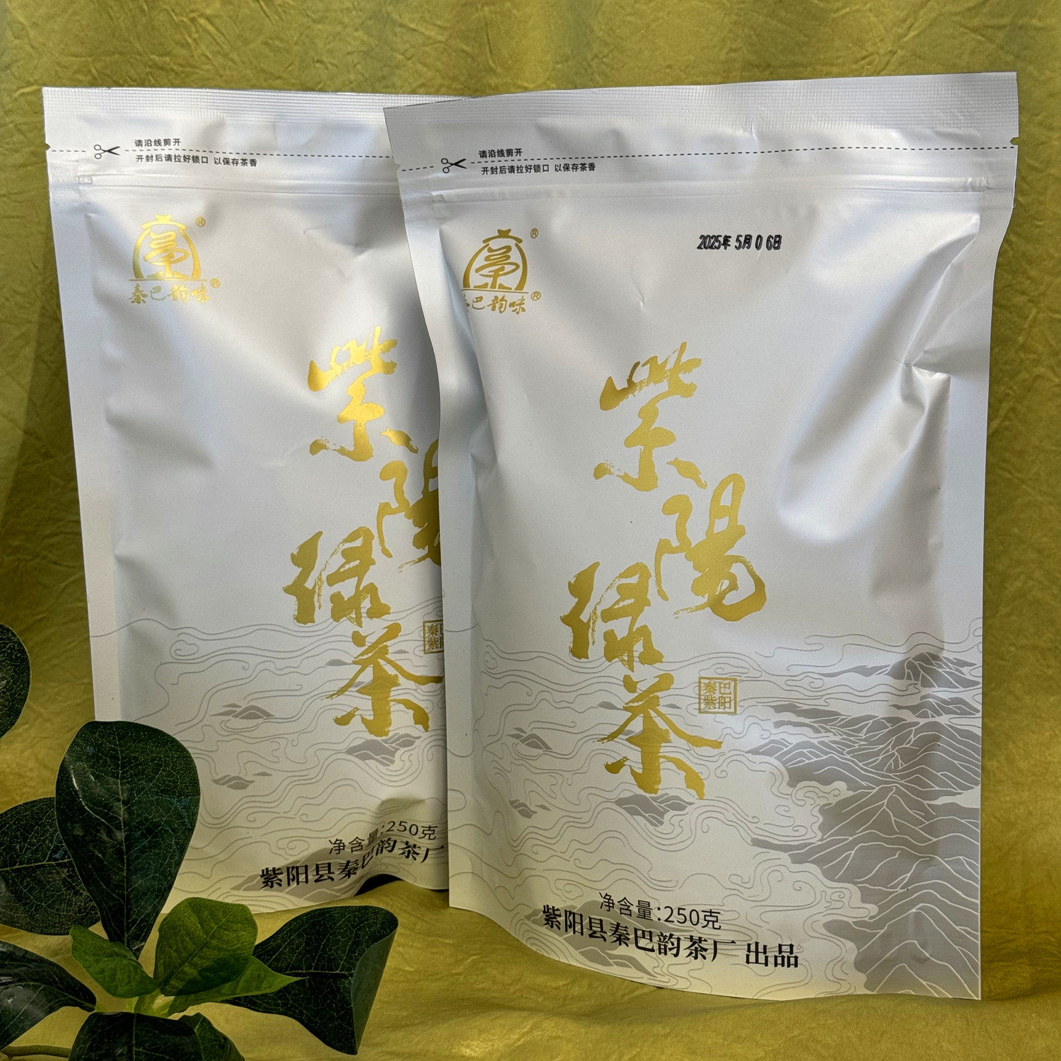 紫阳绿茶2026新茶春茶日照充足茶叶浓香型茶袋装陕西安康茶250克