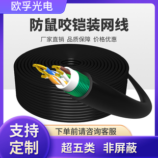 铠装网线超五类cat5e超6类cat6e非屏蔽室内外网线防水防鼠咬