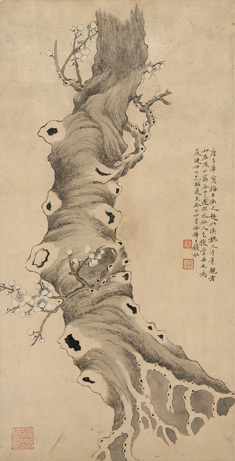 z25   清 钱杜 古梅新放图56x28cm    写意工笔梅花宣纸家居饰画