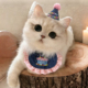 猫咪围脖口水巾项圈宠物生日帽装 过生日 饰用品围兜公主风可爱时尚