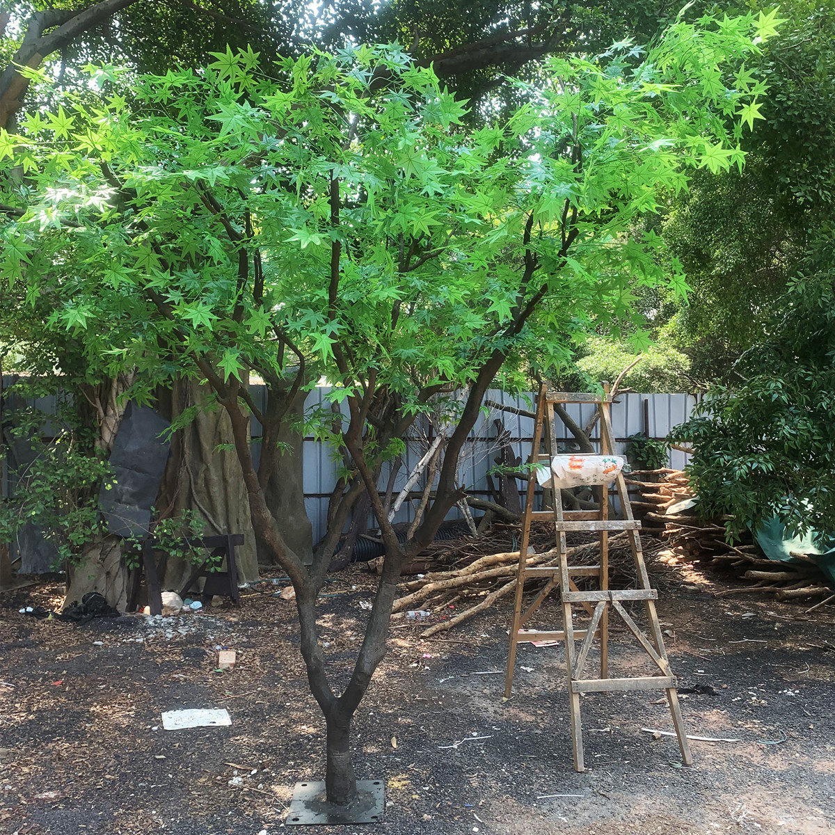 2.5m仿真绿枫树鸡爪械五角枫假树绿植植物橱窗装饰美陈道具定制