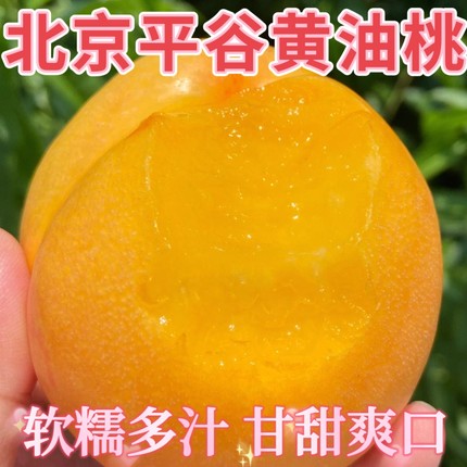 黄油桃正宗北京平谷鲜桃新鲜无毛黄油桃现摘现发爆甜多汁当季水果