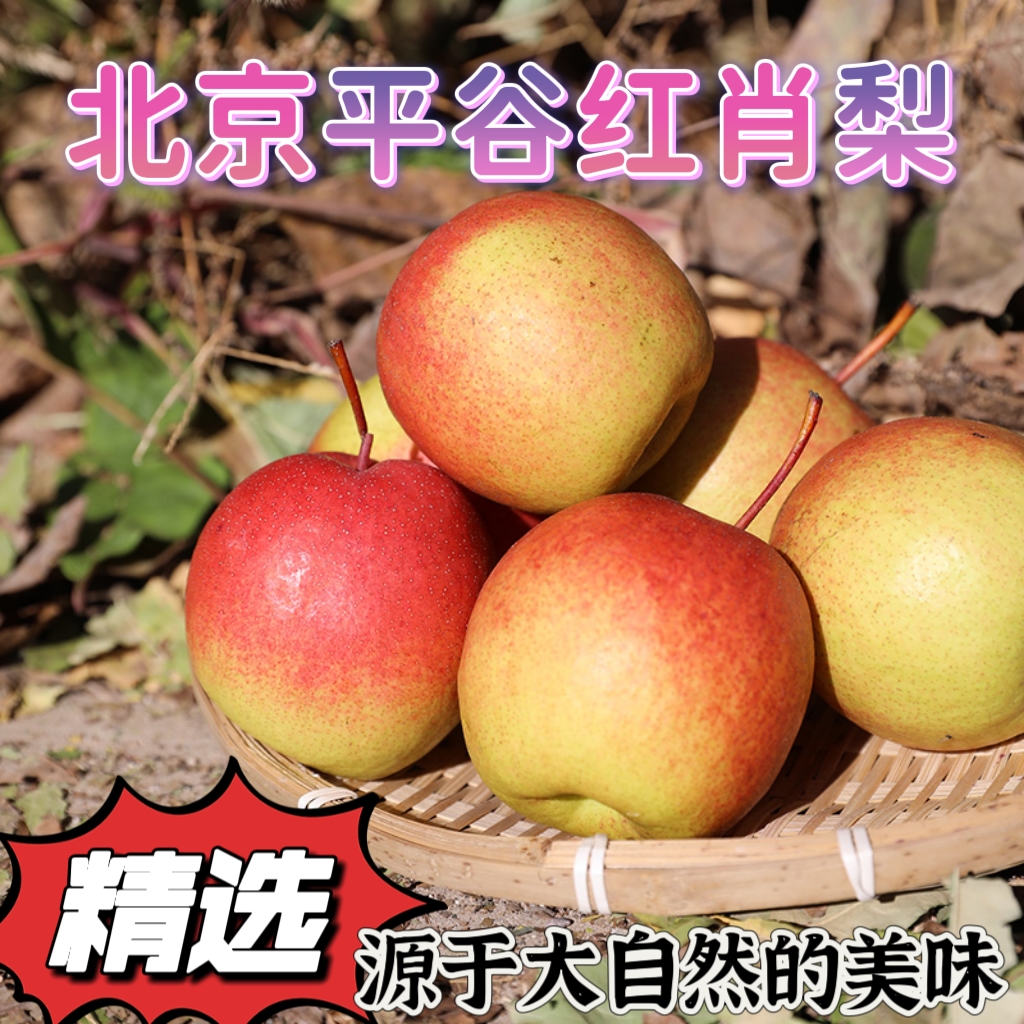 梨北京市平谷区正宗红肖梨脆甜多汁当季孕妇水果老品种红梨整箱