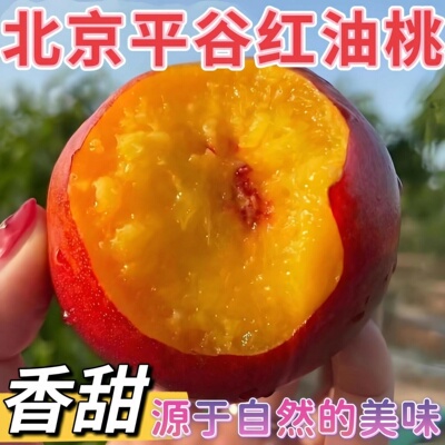 麻脸红油桃北京平谷黄肉红皮油桃应季平谷鲜桃当季新鲜孕妇水果