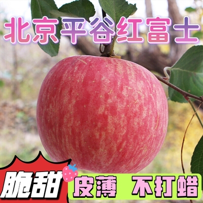 苹果北京市平谷区新鲜富士苹果脆甜多汁当季果园直销孕妇水果整箱