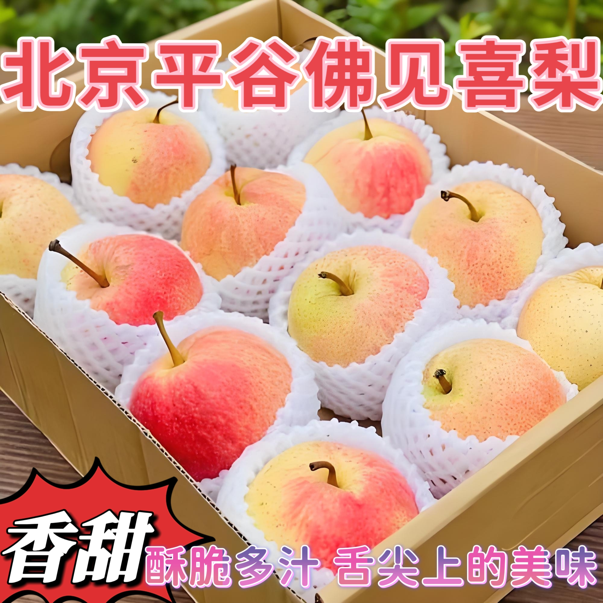 梨北京平谷区佛见喜梨果园直销当季新鲜苹果梨孕妇水果脆甜多汁