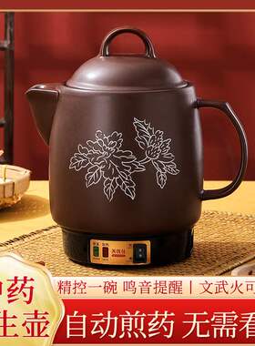 善优佳煎药壶中药煲药罐炖补品保