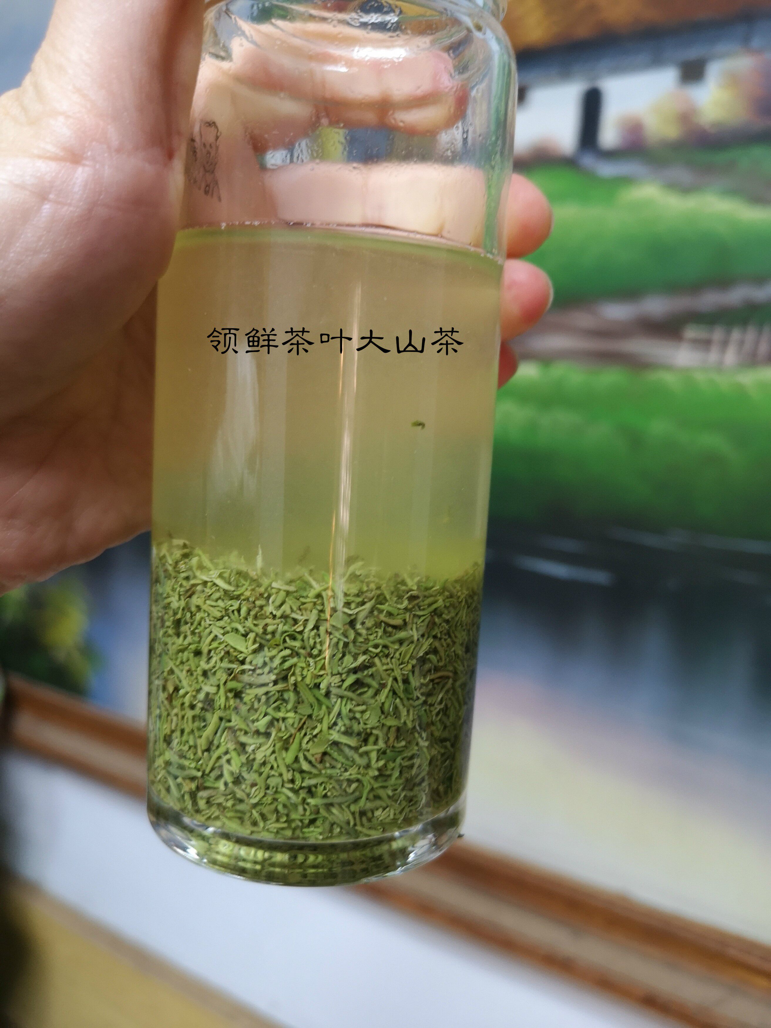 2026明前新茶绿茶芽尖末茶沫碎茶角茶末高山茶栗香味回甘好