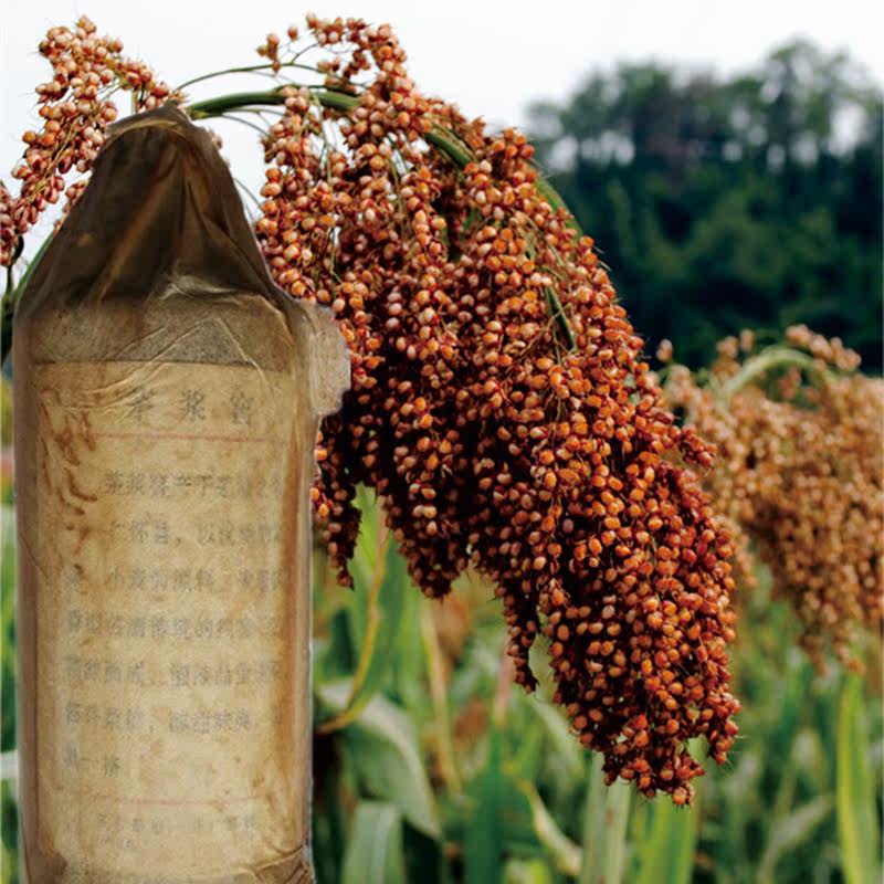 Guizhou liquor 1987 Puree wine 53 Maotai Khun Sa Particular year Collectionin the Liquor , Preparation of wine/Wine  category - from Buy2taobao.com to provide professional Taobao agent buy service