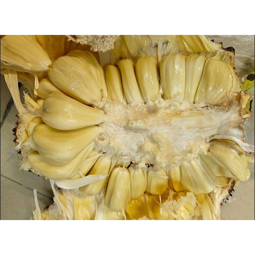 广西湿包菠萝蜜香甜糯软包新鲜木菠萝团购野生菠萝蜜树菠萝木菠萝