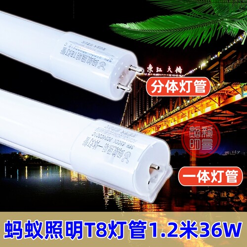 蚂蚁照明T8-36W-1.2M高亮灯管