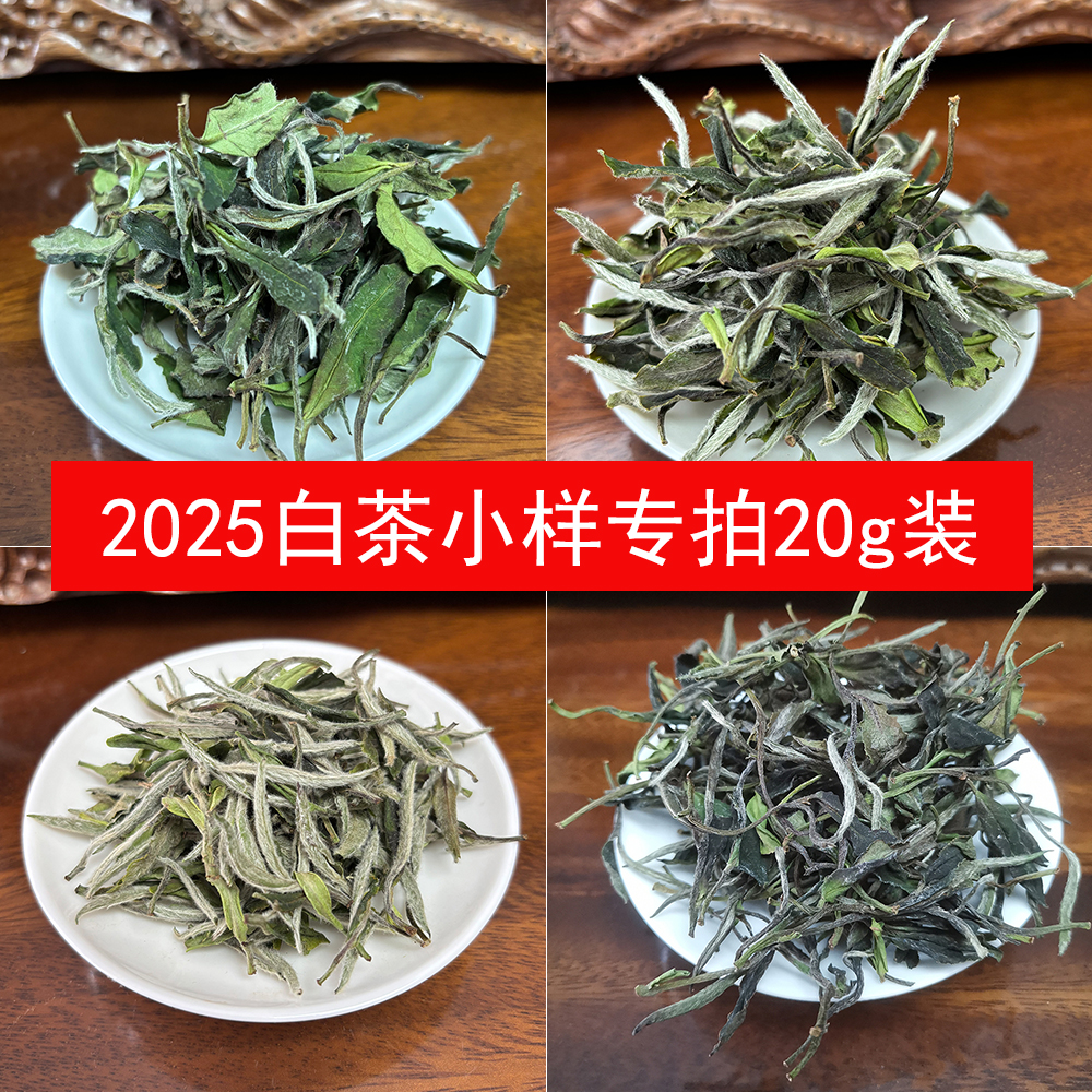 2025年白茶新茶小样20克装 福鼎白茶白毫银针白牡丹王贡眉寿眉