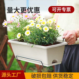 阳台霍伦盆养花种菜盆家用盆栽植物长方形种菜专用盆配铁挂架套装